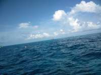 Great day of scuba diving in Key Largo with Rainbow Reef on molasses reef tropical legend 2018 10 11 r7258 1