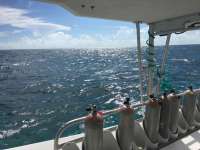 Great day of scuba diving in Key Largo with Rainbow Reef on north star tropical legend 2018 10 04 r7219 1