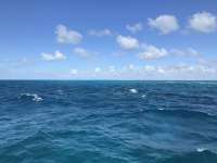 Great day of scuba diving in Key Largo with Rainbow Reef on north star tropical serenity 2018 10 19 r7302 1