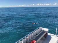 Great day of scuba diving in Key Largo with Rainbow Reef on sand island tropical voyager 2018 10 20 r7315 1