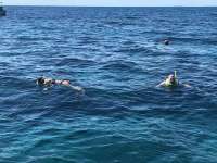 Great day of scuba diving in Key Largo with Rainbow Reef on snapper ledge tropical legend 2018 10 26 r7347 1