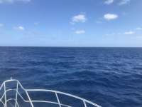 Great day of scuba diving in Key Largo with Rainbow Reef on snapper ledge tropical voyager 2018 10 12 r7268 1