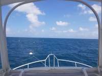 Great day of scuba diving in Key Largo with Rainbow Reef on spiegel grove tropical serenity 2018 10 22 r7326 1