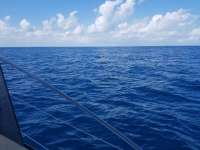 Great day of scuba diving in Key Largo with Rainbow Reef on spiegel grove tropical voyager 2018 10 27 r7362 1