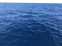 Great day of scuba diving in Key Largo with Rainbow Reef on uscgc duane tropical odyssey 2018 10 26 r7348 1
