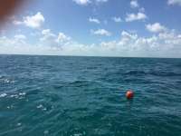 Great day of scuba diving in Key Largo with Rainbow Reef on benwood wreck tropical legend 2018 09 26 r7140 1