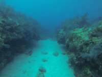 Great day of scuba diving in Key Largo with Rainbow Reef on benwood wreck tropical odyssey 2018 09 25 r7124 2