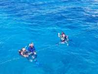 Great day of scuba diving in Key Largo with Rainbow Reef on christmastree cave tropical odyssey 2018 09 07 r7004 1