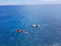 Great day of scuba diving in Key Largo with Rainbow Reef on christmastree cave tropical serenity 2018 09 12 r7029 1