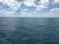 Great day of scuba diving in Key Largo with Rainbow Reef on city of washington tropical legend 2018 09 24 r7119 1