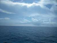 Great day of scuba diving in Key Largo with Rainbow Reef on crf nursery santana 2018 09 10 r7022 1