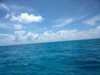 Great day of scuba diving in Key Largo with Rainbow Reef on crf nursery tropical explorer 2018 09 06 r6995 1