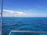 Great day of scuba diving in Key Largo with Rainbow Reef on eagle ray alley tropical legend 2018 09 18 r7069 1
