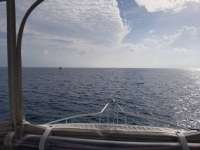 Great day of scuba diving in Key Largo with Rainbow Reef on fire coral cave tropical serenity 2018 09 10 r7019 1