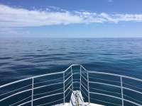 Great day of scuba diving in Key Largo with Rainbow Reef on french reef tropical odyssey 2018 09 20 r7080 1