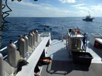 Great day of scuba diving in Key Largo with Rainbow Reef on french reef tropical serenity 2018 09 27 r7144 1