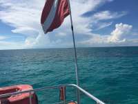 Great day of scuba diving in Key Largo with Rainbow Reef on minnow cave tropical odyssey 2018 09 23 r7110 1