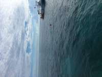 Great day of scuba diving in Key Largo with Rainbow Reef on molasses reef tropical legend 2018 09 13 r7030 1