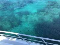 Great day of scuba diving in Key Largo with Rainbow Reef on north star tropical adventure 2018 09 15 r7044 1