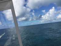 Great day of scuba diving in Key Largo with Rainbow Reef on permit ledges tropical serenity 2018 09 18 r7067 1