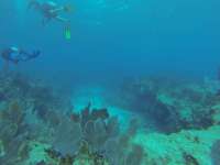 Great day of scuba diving in Key Largo with Rainbow Reef on pickle barrel wreck tropical legend 2018 09 16 r7062 1