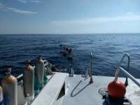Great day of scuba diving in Key Largo with Rainbow Reef on spiegel grove tropical adventure 2018 09 29 r7162 1