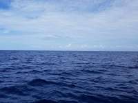 Great day of scuba diving in Key Largo with Rainbow Reef on spiegel grove tropical odyssey 2018 09 11 r7025 1