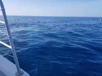 Great day of scuba diving in Key Largo with Rainbow Reef on spiegel grove tropical odyssey 2018 09 16 r7056 1