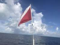 Great day of scuba diving in Key Largo with Rainbow Reef on spiegel grove tropical odyssey 2018 09 22 r7091 1