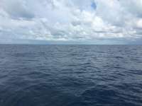 Great day of scuba diving in Key Largo with Rainbow Reef on spiegel grove tropical odyssey 2018 09 23 r7105 1