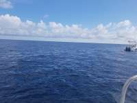 Great day of scuba diving in Key Largo with Rainbow Reef on uscgc duane tropical destiny 2018 09 23 r7100 1