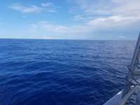 Great day of scuba diving in Key Largo with Rainbow Reef on uscgc duane tropical odyssey 2018 09 07 r7001 1