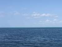 Great day of scuba diving in Key Largo with Rainbow Reef on benwood wreck tropical legend 2019 04 28 r8190 1