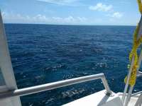 Great day of scuba diving in Key Largo with Rainbow Reef on christ statue tropical destiny 2019 04 06 r8083 1