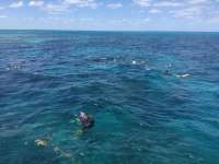 Great day of scuba diving in Key Largo with Rainbow Reef on christ statue tropical destiny 2019 04 22 r8160 1