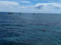 Great day of scuba diving in Key Largo with Rainbow Reef on christ statue tropical destiny 2019 04 24 r8170 1