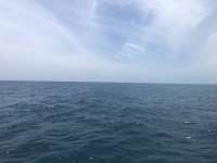 Great day of scuba diving in Key Largo with Rainbow Reef on christmastree cave tropical odyssey 2019 04 05 r8078 1