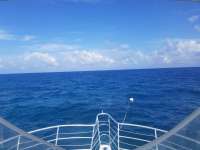 Great day of scuba diving in Key Largo with Rainbow Reef on eagle ray alley tropical legend 2019 04 06 r8086 1