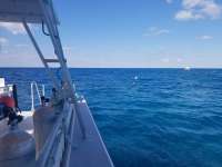 Great day of scuba diving in Key Largo with Rainbow Reef on hole in the wall tropical legend 2019 04 22 r8158 1