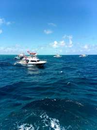 Great day of scuba diving in Key Largo with Rainbow Reef on molasses reef santana 2019 04 13 r8118 1