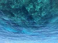 Great day of scuba diving in Key Largo with Rainbow Reef on north dry rocks tropical odyssey 2019 04 02 r8065 1