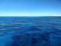 Great day of scuba diving in Key Largo with Rainbow Reef on north star tropical adventure 2019 04 21 r8153 2