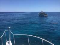 Great day of scuba diving in Key Largo with Rainbow Reef on permit ledges tropical serenity 2019 04 21 r8155 1