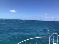 Great day of scuba diving in Key Largo with Rainbow Reef on permit ledges tropical serenity 2019 04 30 r8201 1