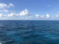 Great day of scuba diving in Key Largo with Rainbow Reef on pickles reef tropical legend 2019 04 12 r8114 1