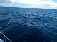 Great day of scuba diving in Key Largo with Rainbow Reef on snapper ledge tropical serenity 2019 04 02 r8059 1