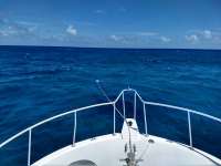 Great day of scuba diving in Key Largo with Rainbow Reef on snapper ledge tropical serenity 2019 04 07 r8092 1