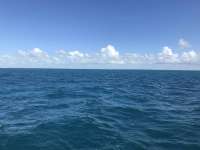 Great day of scuba diving in Key Largo with Rainbow Reef on snapper ledge tropical serenity 2019 04 30 r8200 1