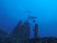 Great day of scuba diving in Key Largo with Rainbow Reef on spiegel grove tropical destiny 2019 04 09 r8099 2