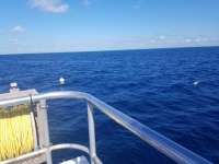 Great day of scuba diving in Key Largo with Rainbow Reef on spiegel grove tropical destiny 2019 04 29 r8193 1
